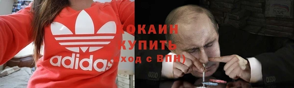 дмт Алексин
